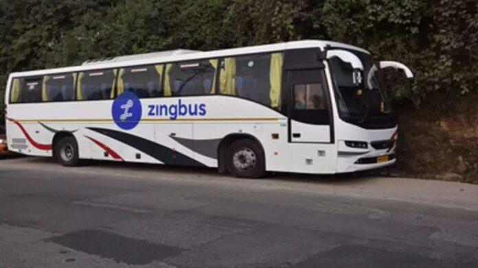 Zingbus