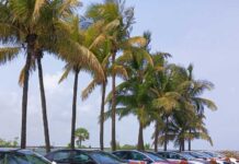 BYD India delivers 200 BYD SEAL Electric Luxury Sedans nationwide in a single-day