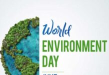 India Inc. Champions EV Innovation for a Sustainable Future