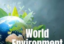 World Environment Day 2024: Indian Businesses Lead the Charge Towards Sustainable EV Solutions