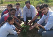 Honda Motorcycle & Scooter India observes Environment Week 2025 with nationwide green initiatives