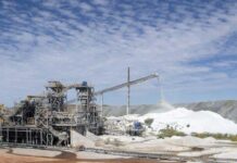 CRISIL: China’s Rare Earth Export curbs may disrupt India’s automotive sector