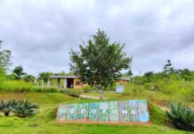 Toyota Kirloskar Motor reaffirms sustainability commitment on World Environment Health Day 2025