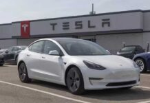 Haryana CM Nayab Singh Saini invites Tesla to set up EV manufacturing plant in the state
