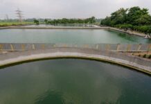 Apollo Tyres earns A- CDP Leadership Rating for Climate & Water