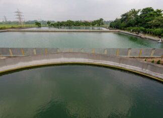 Apollo Tyres earns A- CDP Leadership Rating for Climate & Water