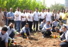 Hyundai Motor India Foundation plants 1 million trees in Maharashtra