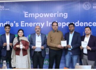 Hindustan Zinc and JNCASR advance zinc-ion battery technology for large-scale energy storage