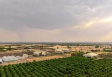 TAFE inaugurates JFarm in Rajasthan to support farmer productivity and sustainable agriculture