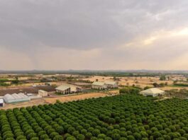 TAFE inaugurates JFarm in Rajasthan to support farmer productivity and sustainable agriculture