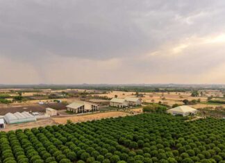 TAFE inaugurates JFarm in Rajasthan to support farmer productivity and sustainable agriculture