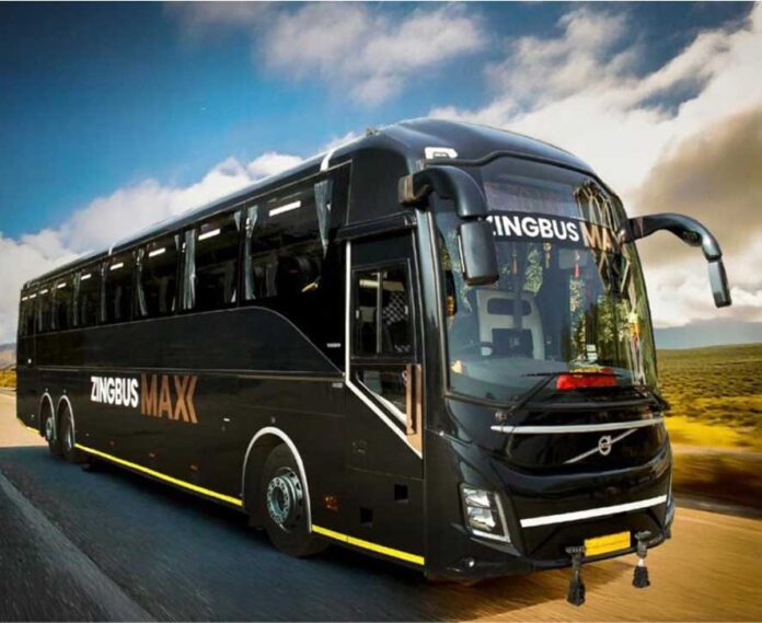 Zingbus