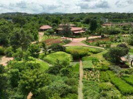 Toyota Kirloskar Motor launches Environment Month 2026 initiative