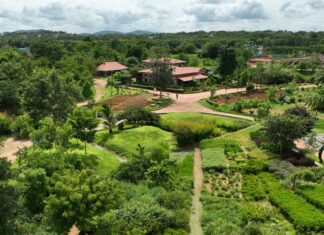 Toyota Kirloskar Motor launches Environment Month 2026 initiative