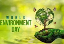 World Environment Day 2026: Auto industry leaders back sustainable mobility