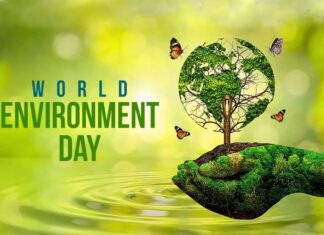 World Environment Day 2026: Auto industry leaders back sustainable mobility
