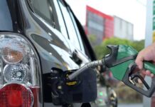 Team Bharat announces peaceful road rally in Delhi over E20 Fuel Policy