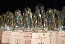 VinFast wins three awards at Asian Excellence Awards 2026