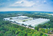 Stellantis takes full ownership of Indian manufacturing joint venture in Thiruvallur